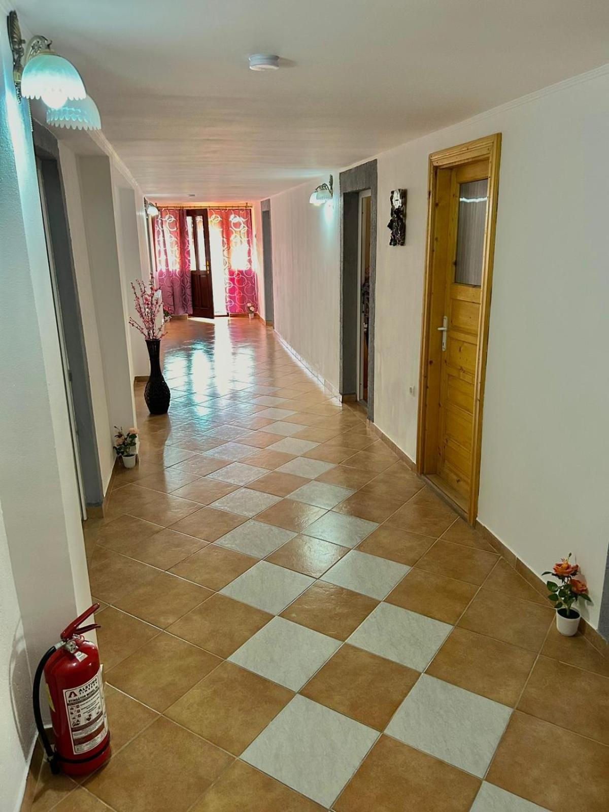 Pensiunea Casa Nina Cîrţişoara Exterior foto