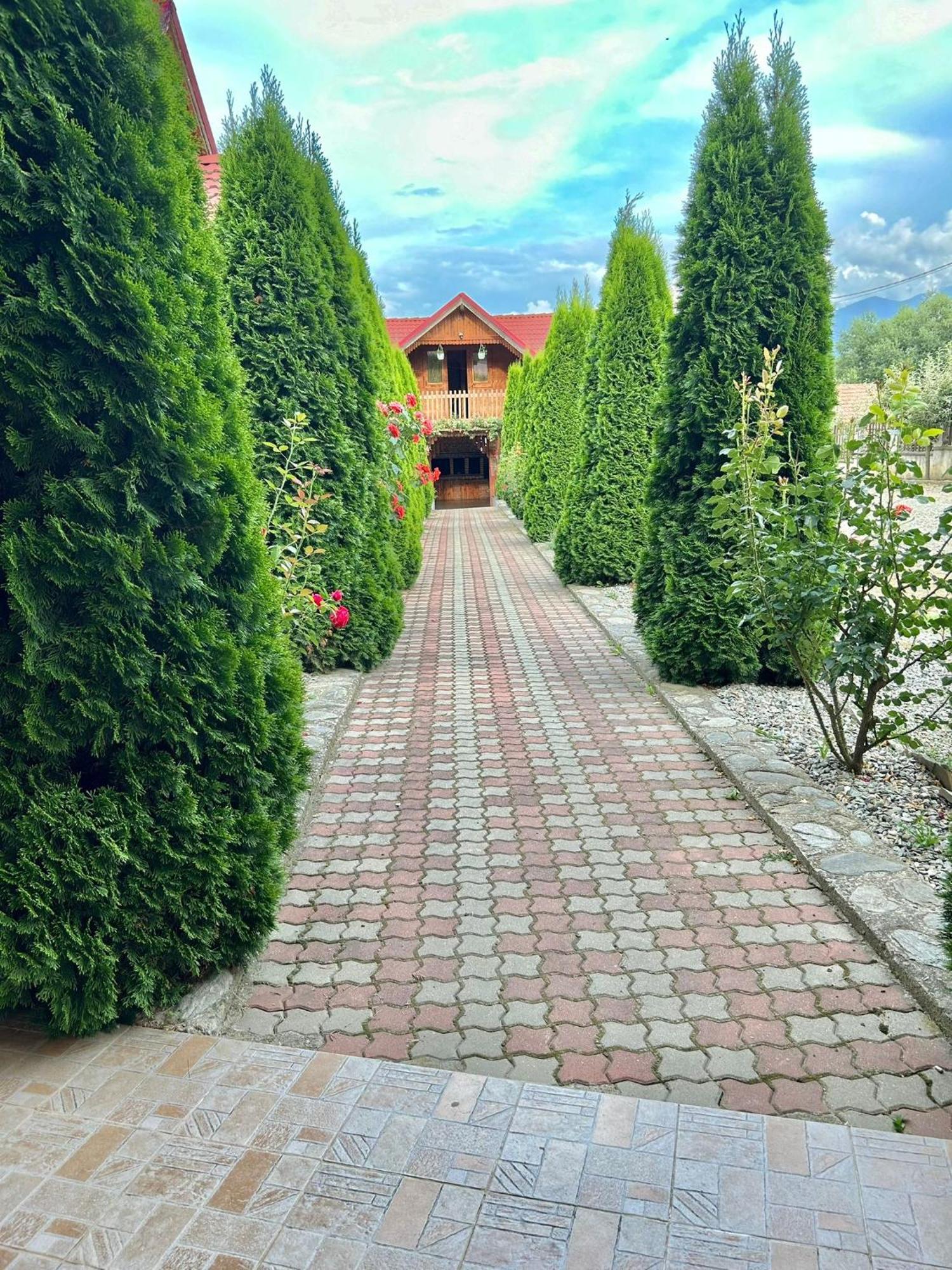 Pensiunea Casa Nina Cîrţişoara Exterior foto